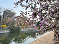 -海棠花溪(元大都城垣遗址公园)