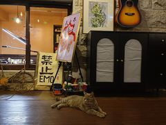 -猫岛主趣味餐厅(鼓浪屿店)