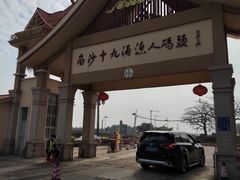 -大湾区中央湿地公园