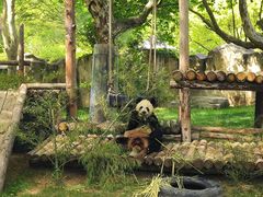 -上海野生动物园