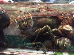 -海景壹号大酒店(惠钱路店)