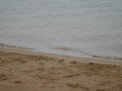 -碧海金沙