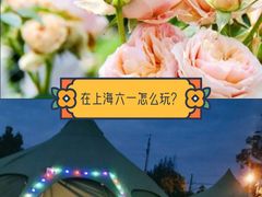 -前小桔亲子创意农场·草莓采摘·露营烧烤