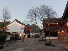 -鲁镇