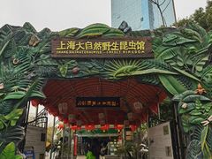 -上海大自然野生昆虫馆(东方明珠·爬宠昆虫探索中心)