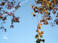 -艾溪湖湿地公园