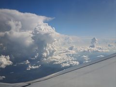 -朗丽兹自助餐厅