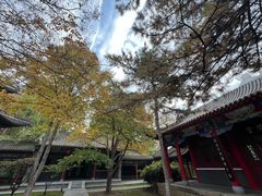 -碑林公园