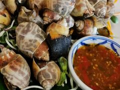 -卷心菜和避孕套餐厅(Pattaya)
