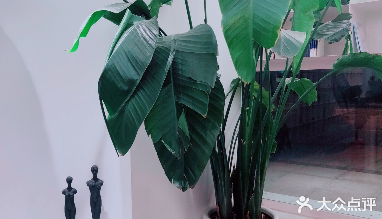 打卡一家佛系网红书店