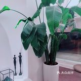 打卡一家佛系网红书店