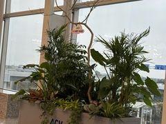 -河内内排国际机场