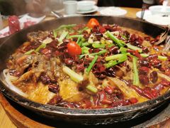 -老板恋上鱼(印象城店)