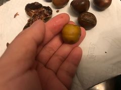 -陈记栗子(长宁路店)