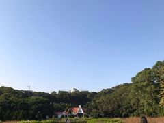 -南沙蒲洲花园