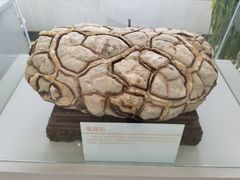 -中国第四纪冰川遗迹陈列馆