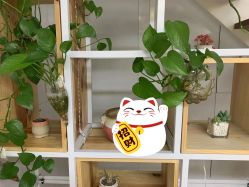 -痘博士天津·全国连锁祛痘机构