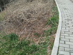 -汉长安城未央宫国家考古遗址公园