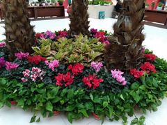 -南京财经大学（仙林校区）-图书馆