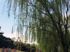 -廊坊市自然公园
