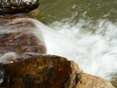 -北仑森林植物园