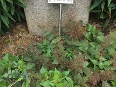 -广州神农草堂中医药博物馆
