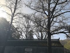 -镇江市南山风景名胜区竹林景区