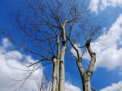 -白鹭湾湿地公园