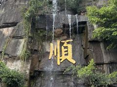 -三水森林公园