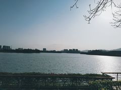 -立新湖公园