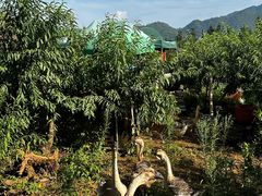 -南武当山景区