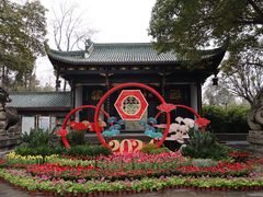 -桂湖森林公园