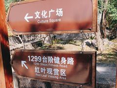 -北京十三陵国家森林公园蟒山景区