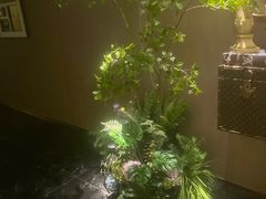 -大逸传奇·足道SPA(天美店)