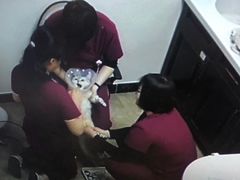 -美联众合动物医院·24h转诊中心