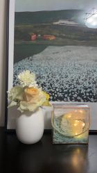 -Aimee'sCake婚礼甜品台·企业商务茶歇
