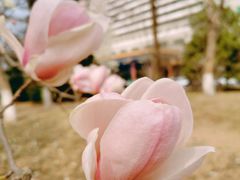 -北京九华山庄会展酒店