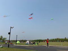 -春花秋色城市公园