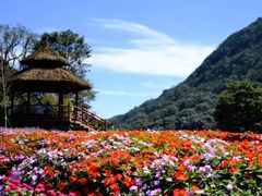 -广州市石门国家森林公园