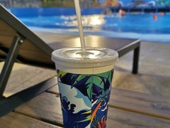 -汕头中海黄金海岸水上乐园