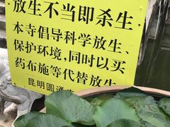 景点-圆通禅寺