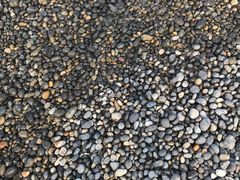 -金海湾海鲜排档(朱家尖店)