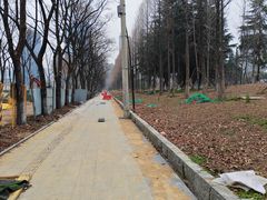 -后襄河公园