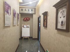 -宠爱国际动物医院· 猫科· 外科·中兽医(长白店)