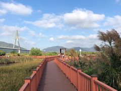 -芒洲湿地公园