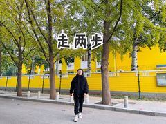 -三里屯东五街银杏大道