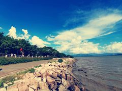 -深圳湾公园(南山区)