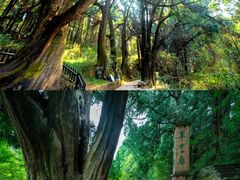 -剑门关风景区