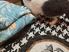 -悠米私人影院(街道口店)