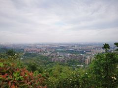 -杭州半山国家森林公园